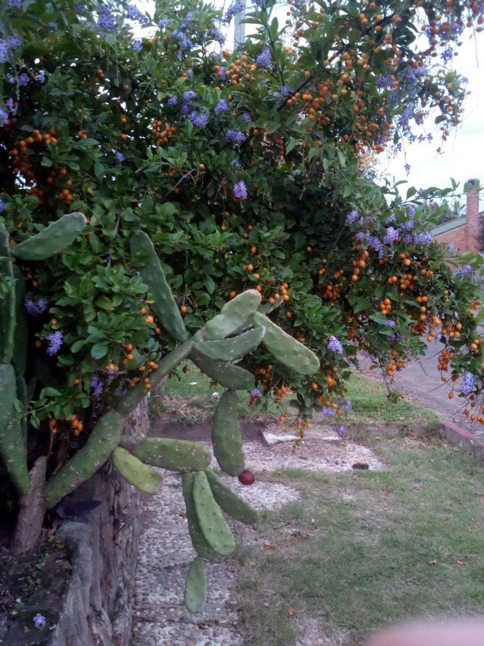 דירות סלטו Jardines De Don Bosco מראה חיצוני תמונה